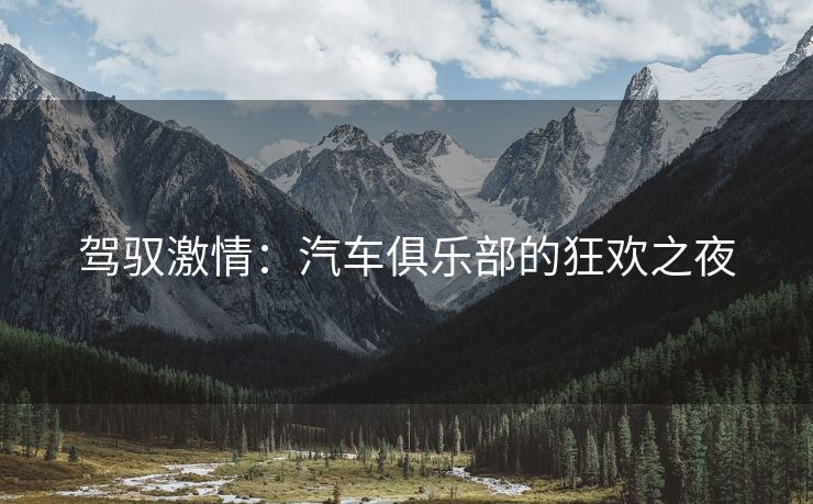 驾驭激情：汽车俱乐部的狂欢之夜