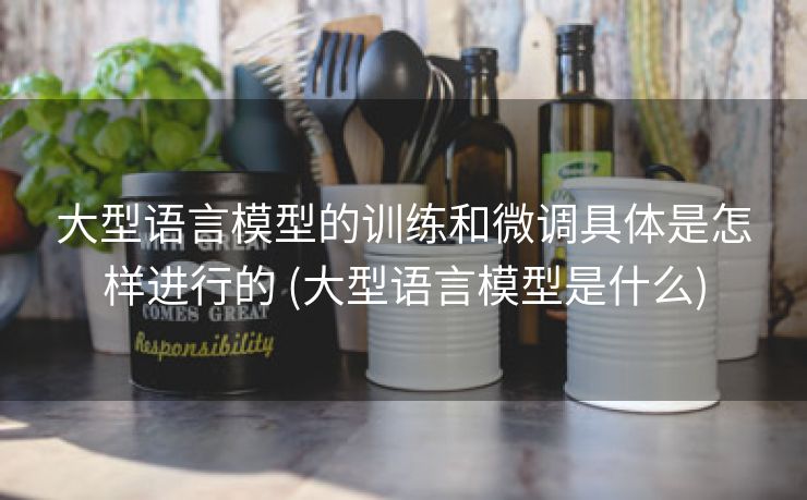 大型语言模型的训练和微调具体是怎样进行的 (大型语言模型是什么)
