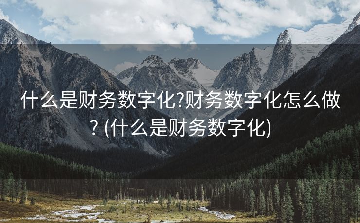 什么是财务数字化?财务数字化怎么做? (什么是财务数字化)