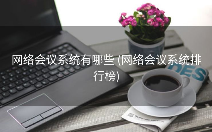 网络会议系统有哪些 (网络会议系统排行榜)