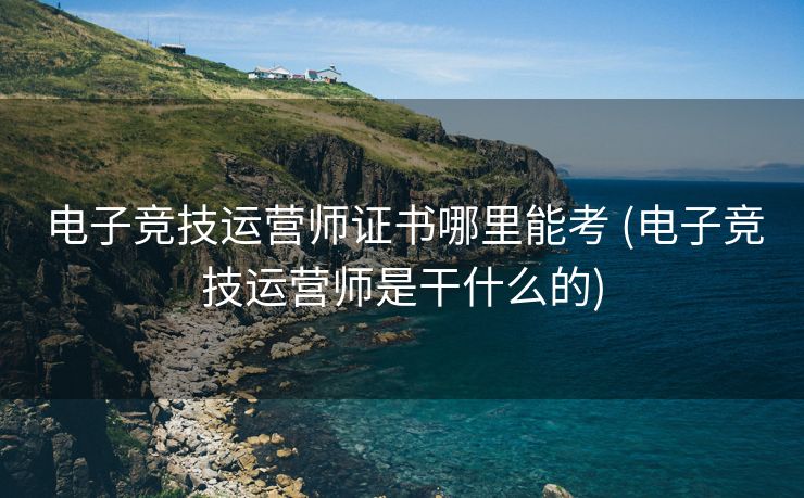电子竞技运营师证书哪里能考 (电子竞技运营师是干什么的)