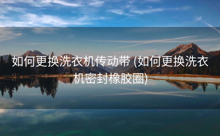 如何更换洗衣机传动带 (如何更换洗衣机密封橡胶圈)
