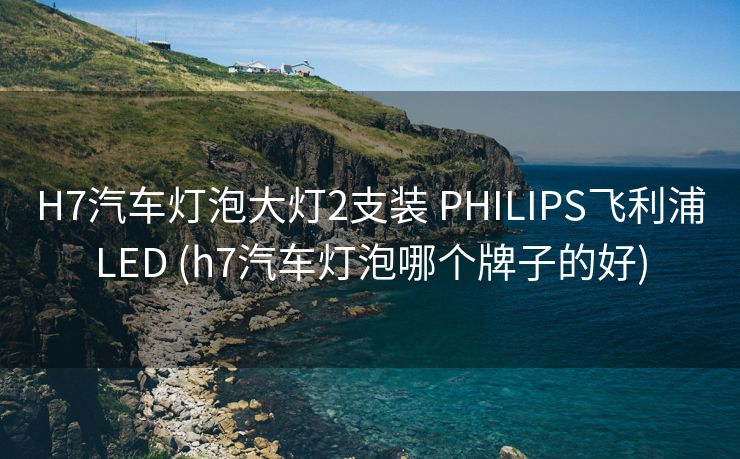 H7汽车灯泡大灯2支装 PHILIPS飞利浦LED (h7汽车灯泡哪个牌子的好)