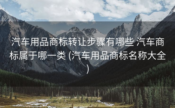 汽车用品商标转让步骤有哪些 汽车商标属于哪一类 (汽车用品商标名称大全)