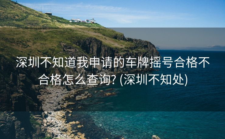 深圳不知道我申请的车牌摇号合格不合格怎么查询? (深圳不知处)