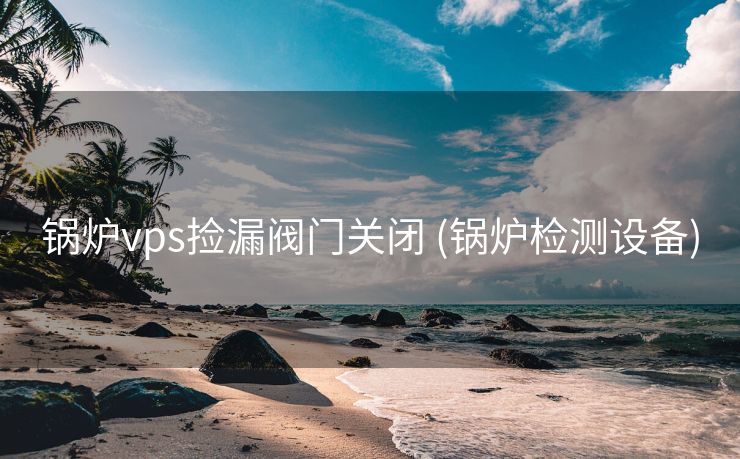 锅炉vps捡漏阀门关闭 (锅炉检测设备)