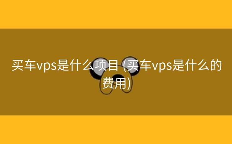 买车vps是什么项目 (买车vps是什么的费用)