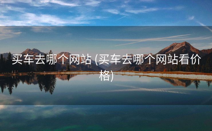 买车去哪个网站 (买车去哪个网站看价格)