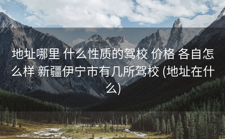 地址哪里 什么性质的驾校 价格 各自怎么样 新疆伊宁市有几所驾校 (地址在什么)