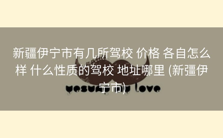 新疆伊宁市有几所驾校 价格 各自怎么样 什么性质的驾校 地址哪里 (新彊伊宁市)
