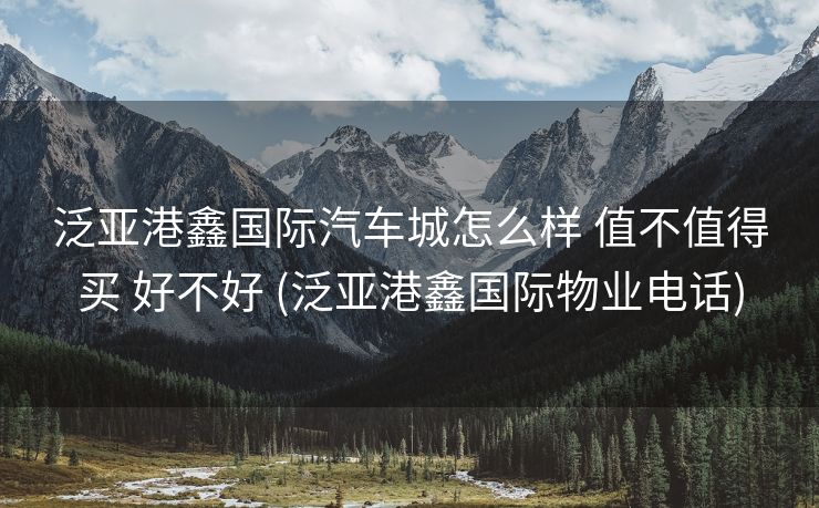 泛亚港鑫国际汽车城怎么样 值不值得买 好不好 (泛亚港鑫国际物业电话)