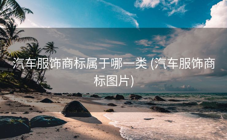 汽车服饰商标属于哪一类 (汽车服饰商标图片)