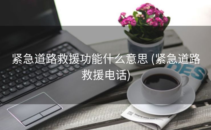 紧急道路救援功能什么意思 (紧急道路救援电话)