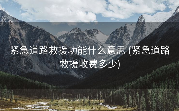 紧急道路救援功能什么意思 (紧急道路救援收费多少)
