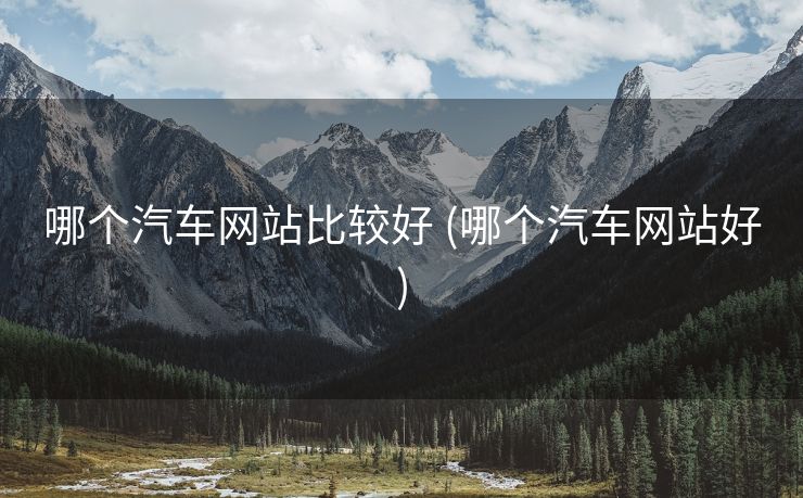 哪个汽车网站比较好 (哪个汽车网站好)