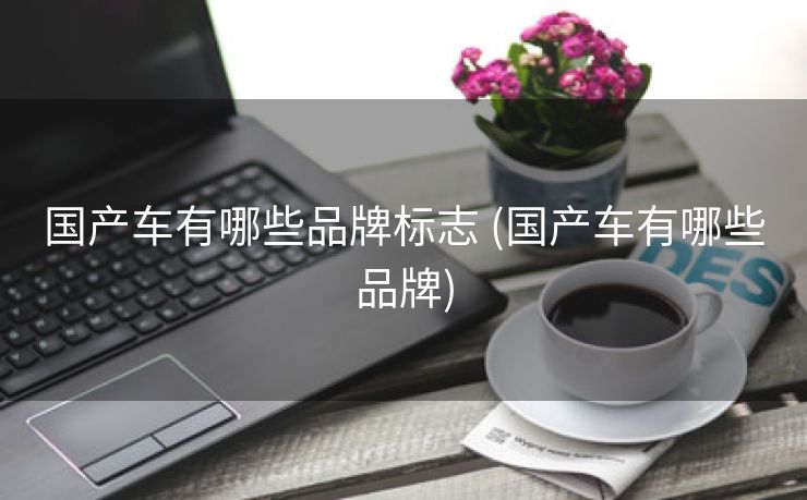 国产车有哪些品牌标志 (国产车有哪些品牌)