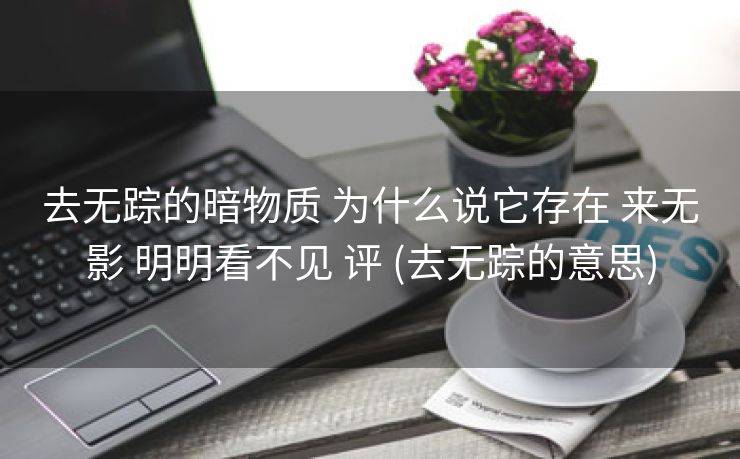 去无踪的暗物质 为什么说它存在 来无影 明明看不见 评 (去无踪的意思)