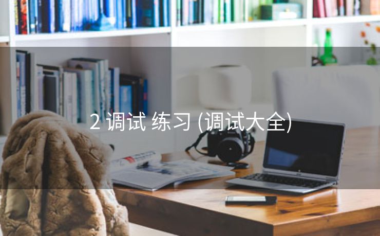 2 调试 练习 (调试大全)