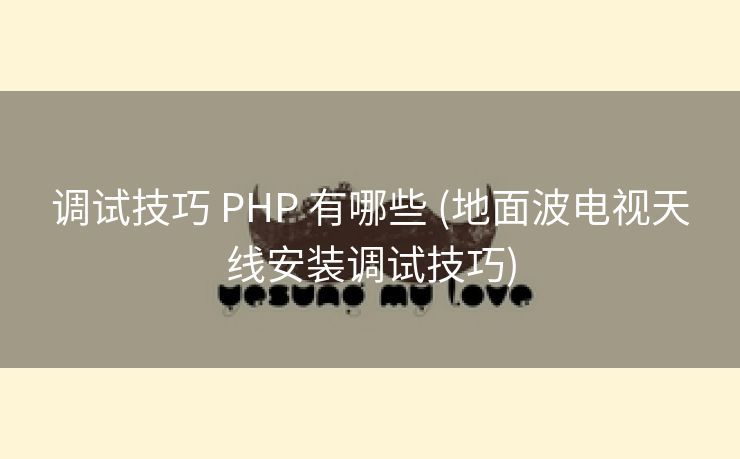 调试技巧 PHP 有哪些 (地面波电视天线安装调试技巧)