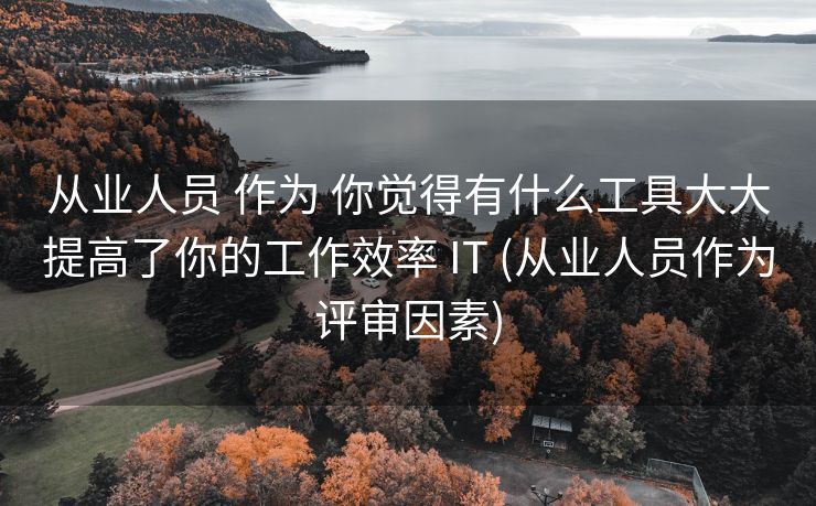 从业人员 作为 你觉得有什么工具大大提高了你的工作效率 IT (从业人员作为评审因素)