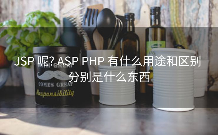 JSP 呢? ASP PHP 有什么用途和区别 分别是什么东西