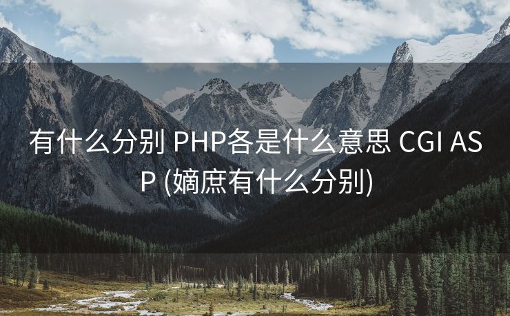 有什么分别 PHP各是什么意思 CGI ASP (嫡庶有什么分别)