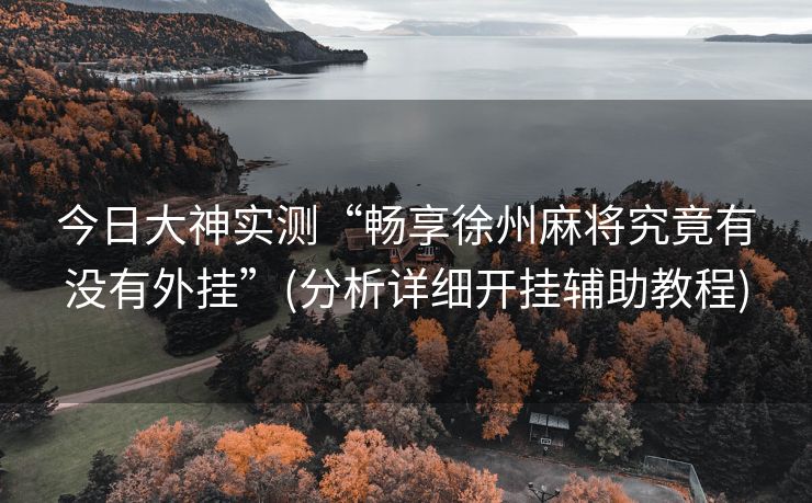 今日大神实测“畅享徐州麻将究竟有没有外挂”(分析详细开挂辅助教程)